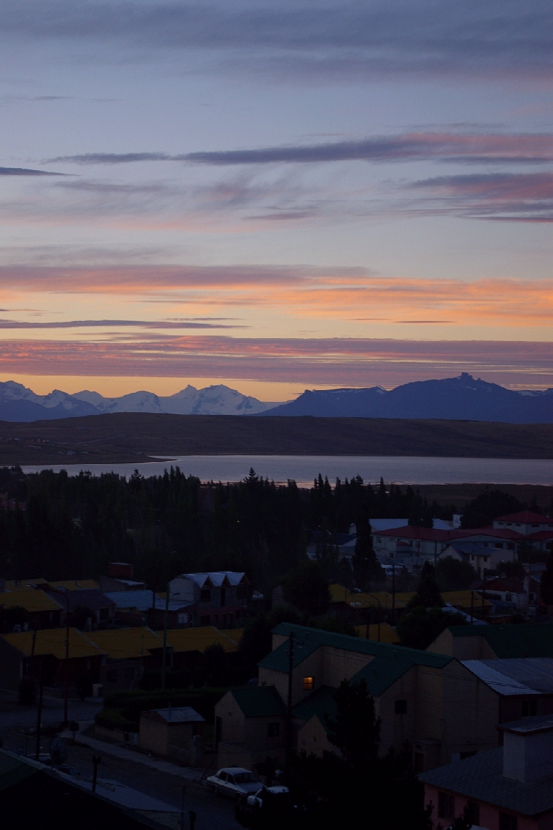Calafate