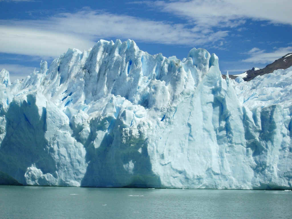 Calafate