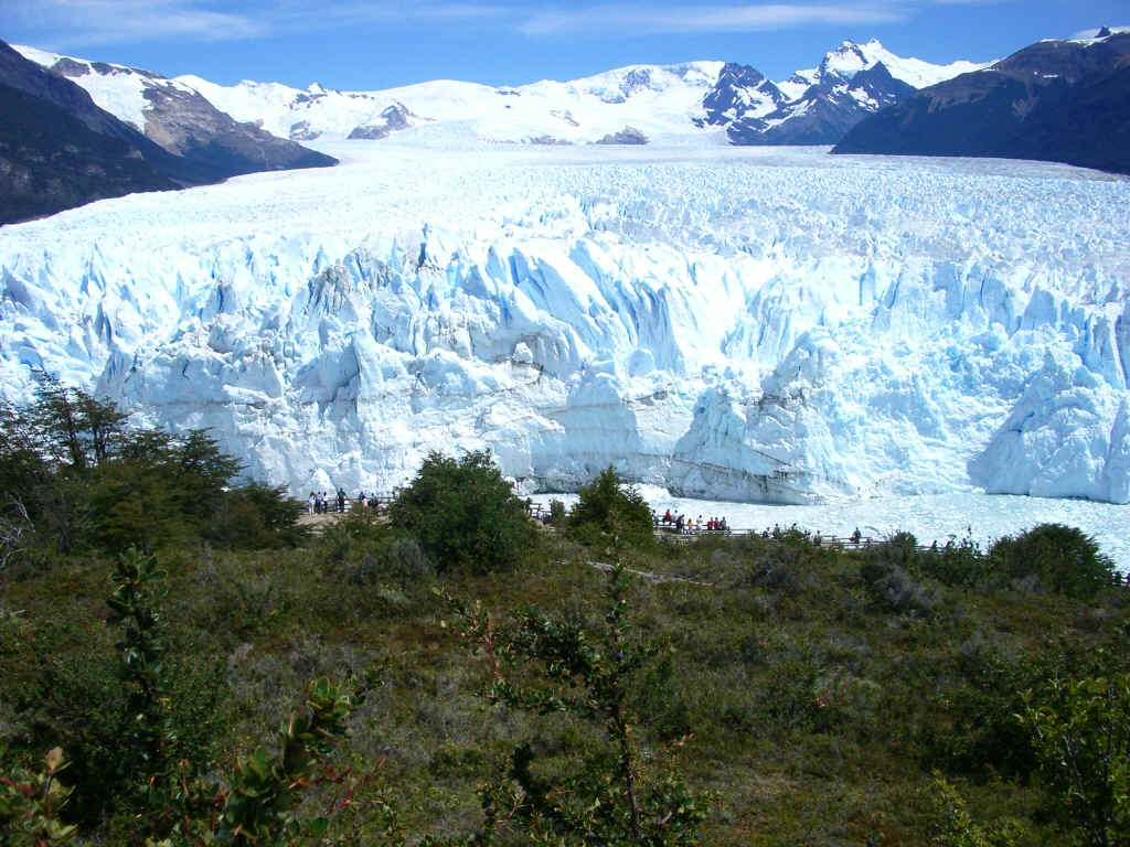 Calafate