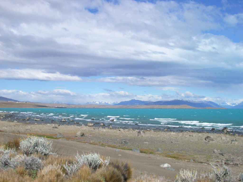 Calafate