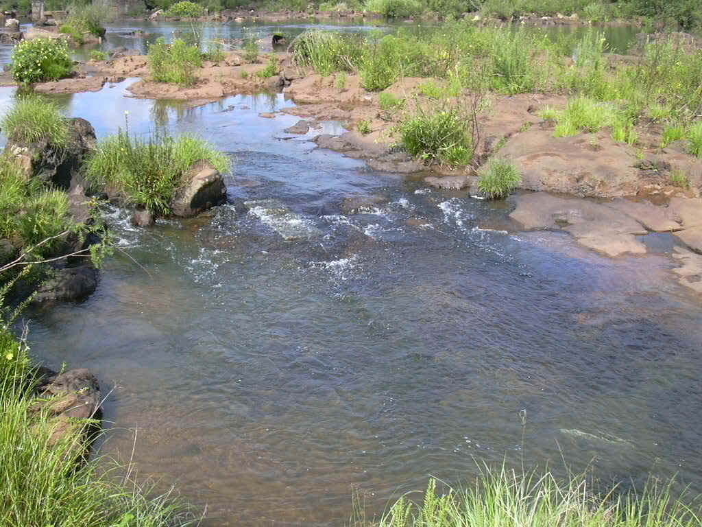 Iguazu