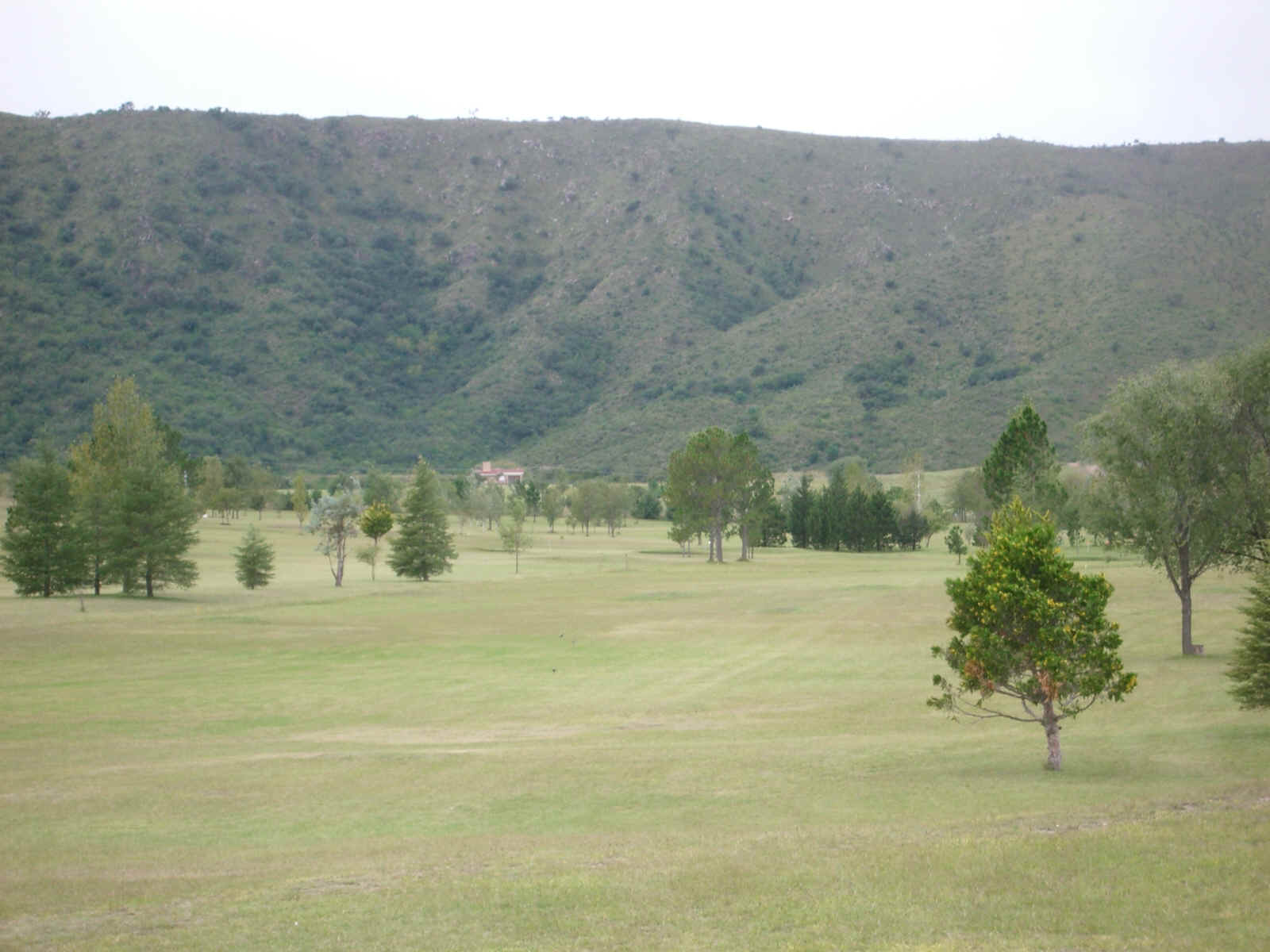 campodegolf1