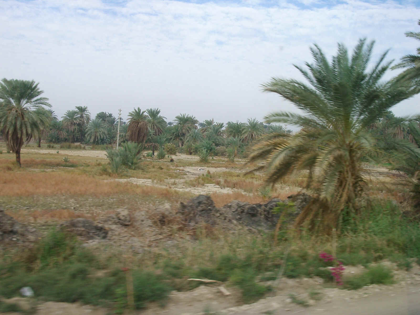 egypt2
