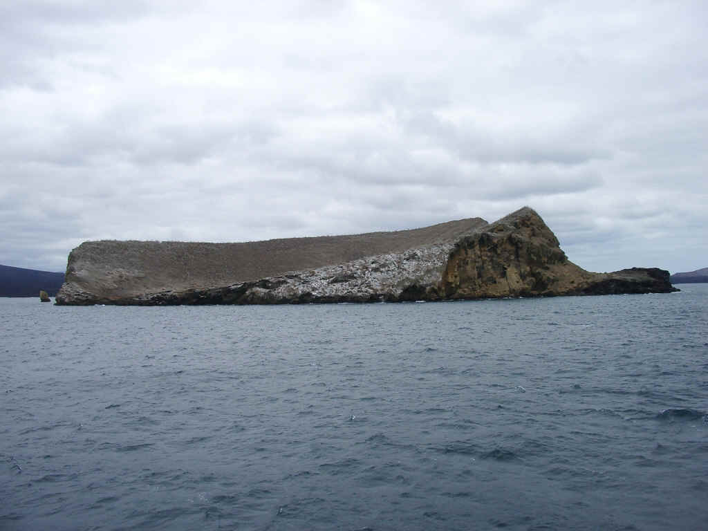 galapagos1