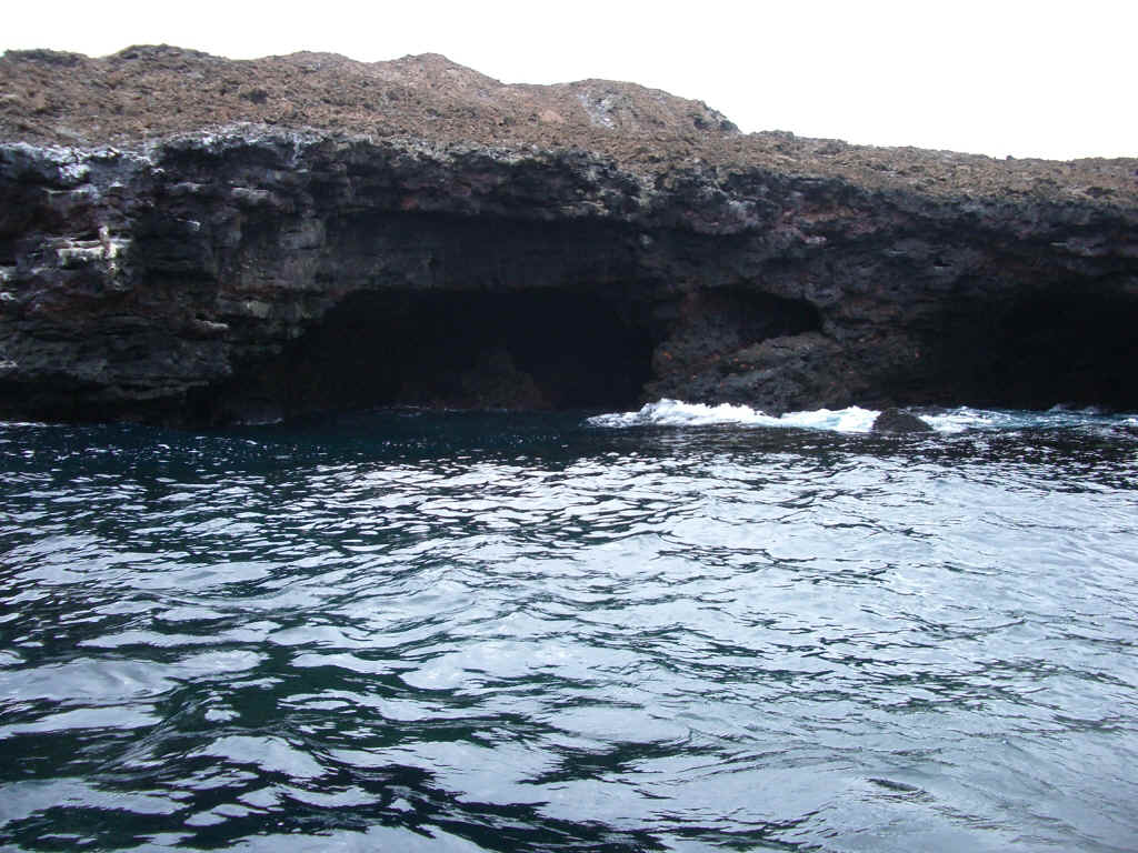 galapagos1