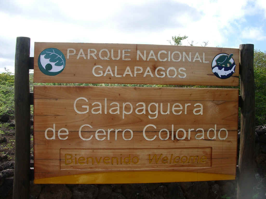 galapagos8