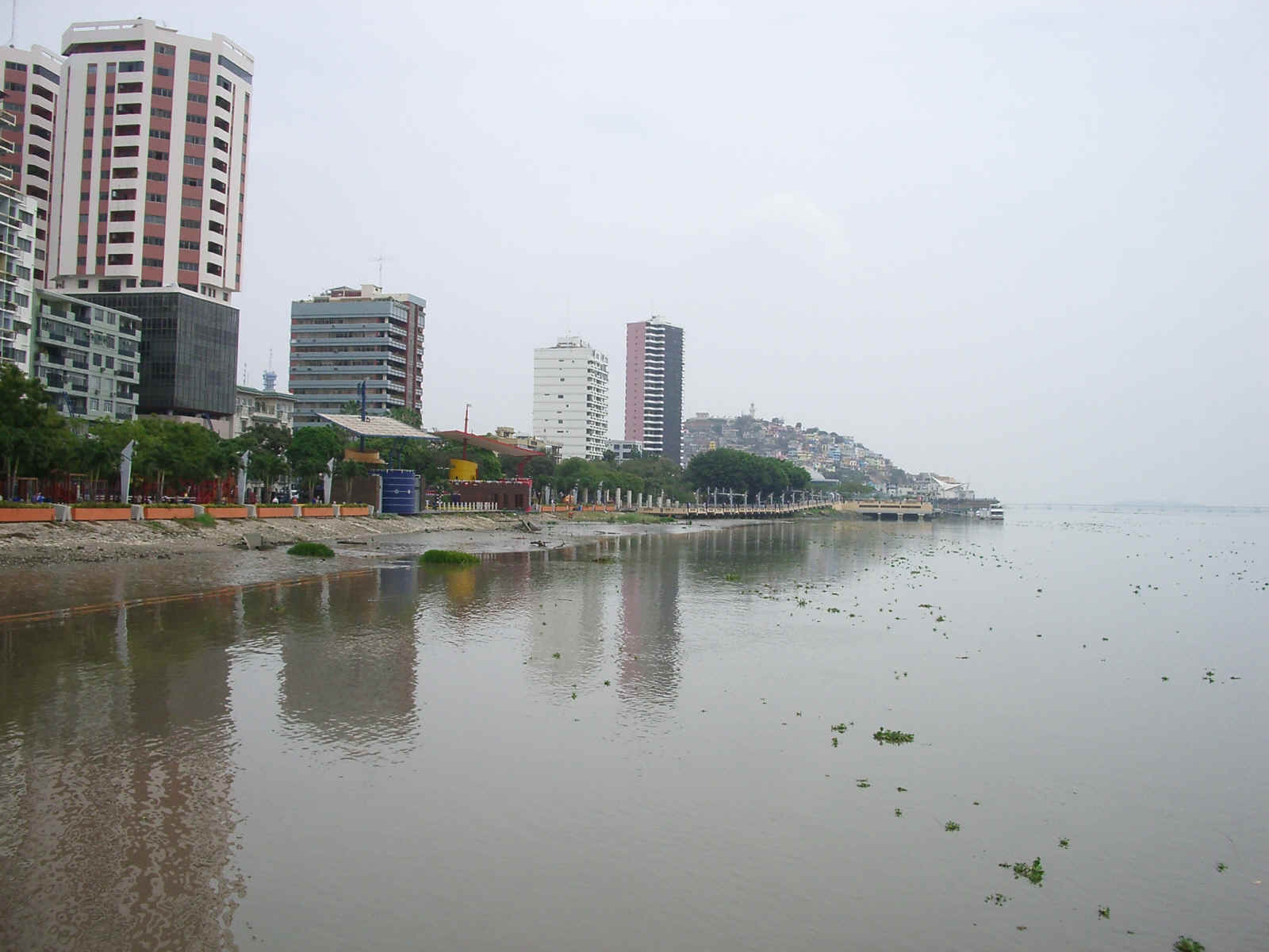 guayaquil1
