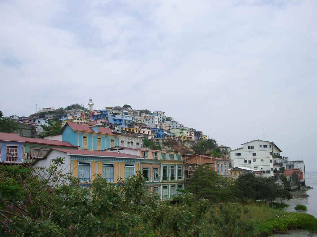 guayaquil2