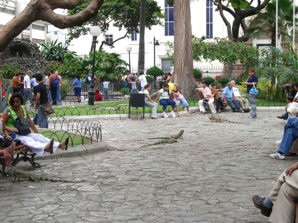 guayaquil2