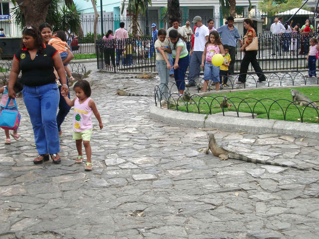 guayaquil2