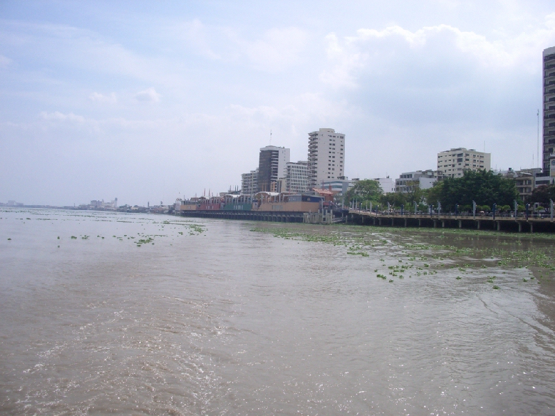 guayaquil2