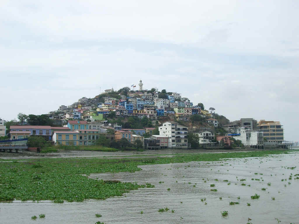 guayaquil2