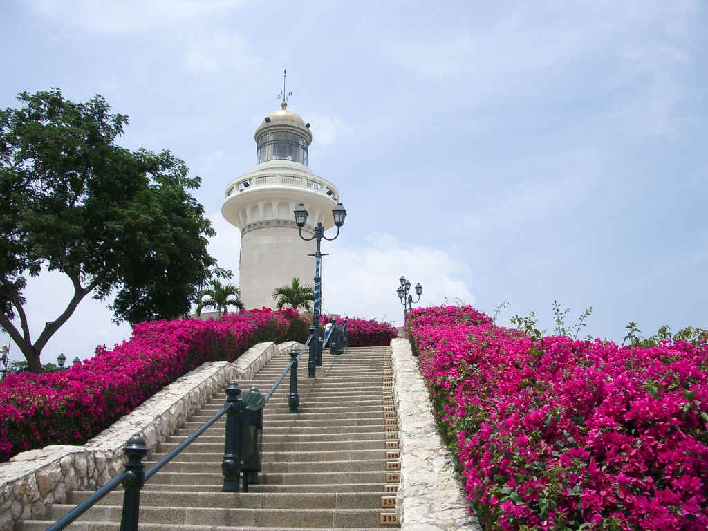guayaquil2