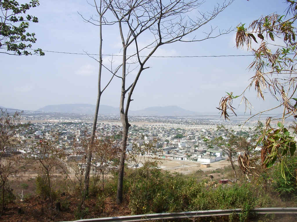 guayaquil3