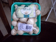 IMGP1044.jpg (26334 �o�C�g)