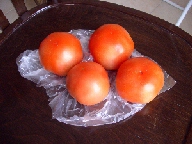 IMGP1045.jpg (62705 �o�C�g)